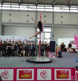 2016西安性博会 钢管舞艺术与营业性演出的双重呈现